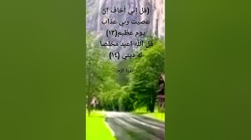 سورة الزمر اية (١٤)