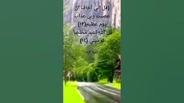 سورة الزمر اية (١٤)