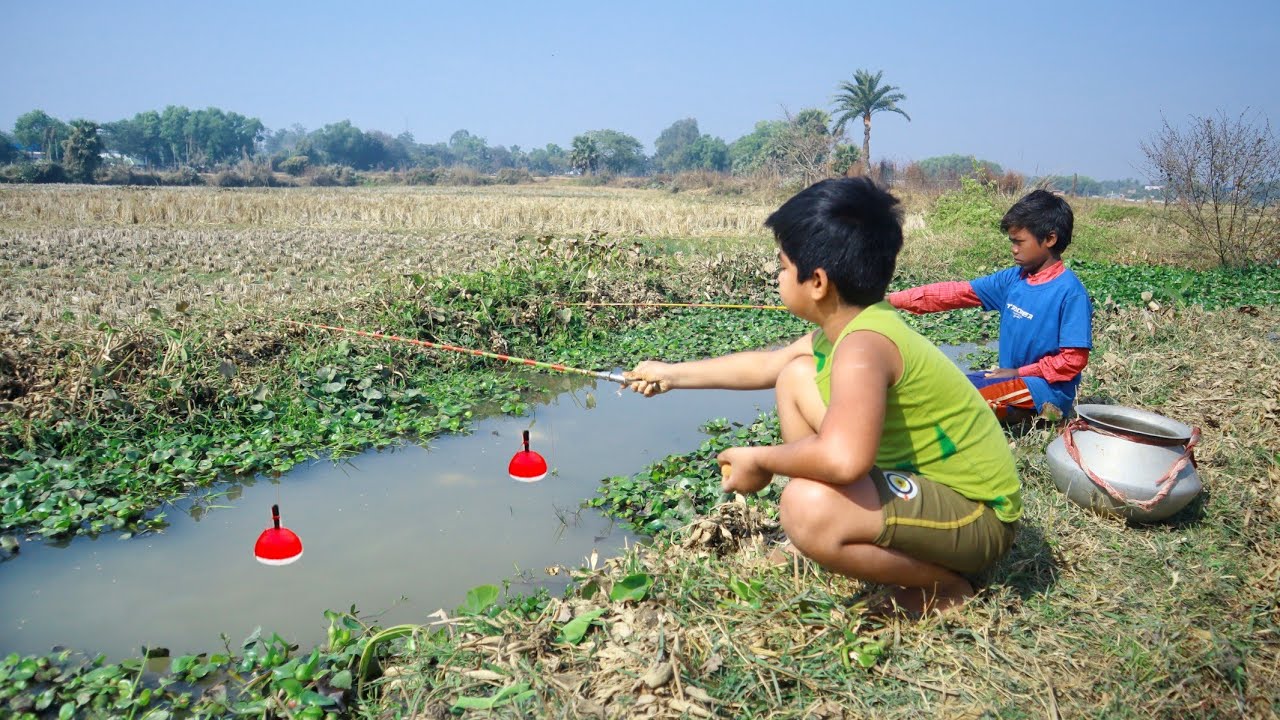 Fishing Video || Two expert little brother's fishing together in the field canal using hook