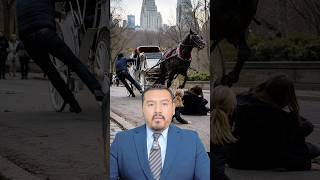 Fallece joven tras accidente en Central Park #NuevaYork #CentralPark #Accidente #EstadosUnidos