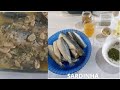 COMO FAZER A SARDINHA PERFEITA💕 FAÇIL DE FAZER E GOSTOSO DE COMER!!