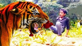 Tiger Attack2 Tiger Tiger Video Tiger Short Tiger Short Film Mr Vfx