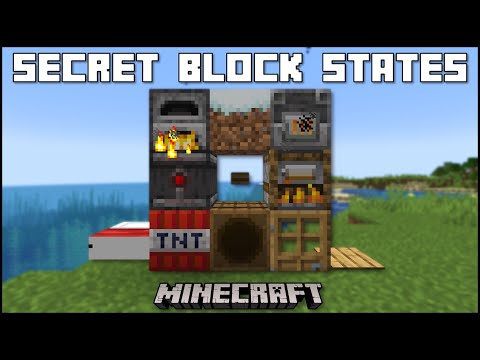 Minecraft - Blocks With Secret Block States - YouTube