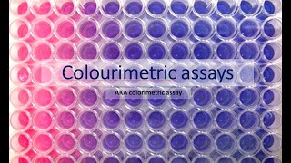 Colourimetric assays (aka colorimetric assays) What are they and how do they work