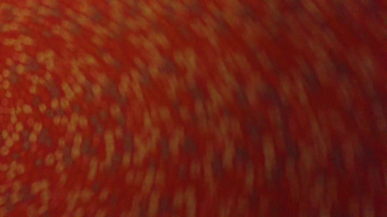 THE ULTIMATE HOTBOX TENT!