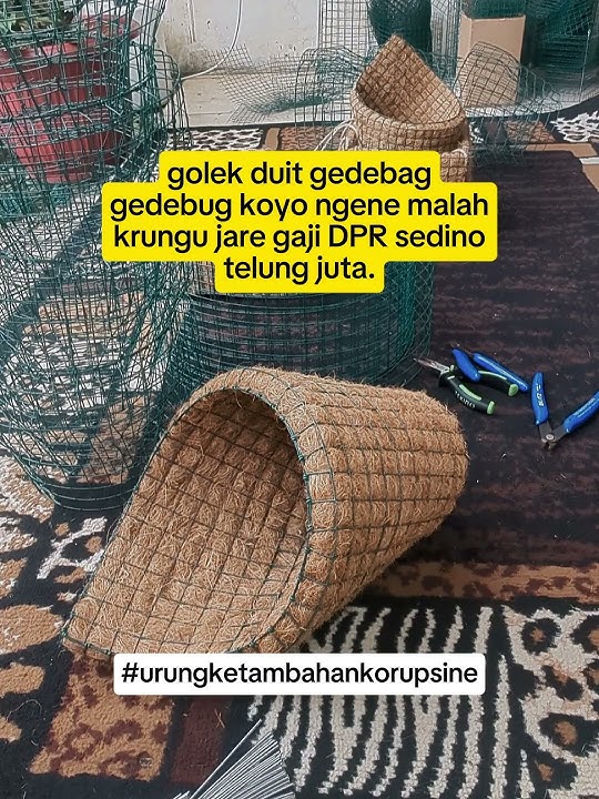 misuh oleh a lek ?? #shortvideo #shorts