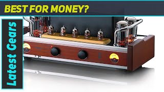 Unveiling the Dared VP-99P HiFi Tube Amplifier: A Sonic Marvel!