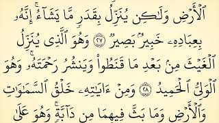 (42) سورة الشورى .. القارئ خليل الصغير