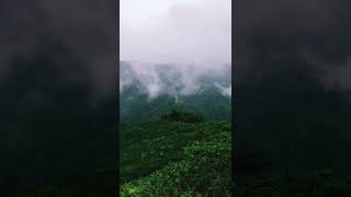 Şehitlik Köyü Şarap Evi Wine House ღვინის სახლი Samseavla Samse Rize Pazar