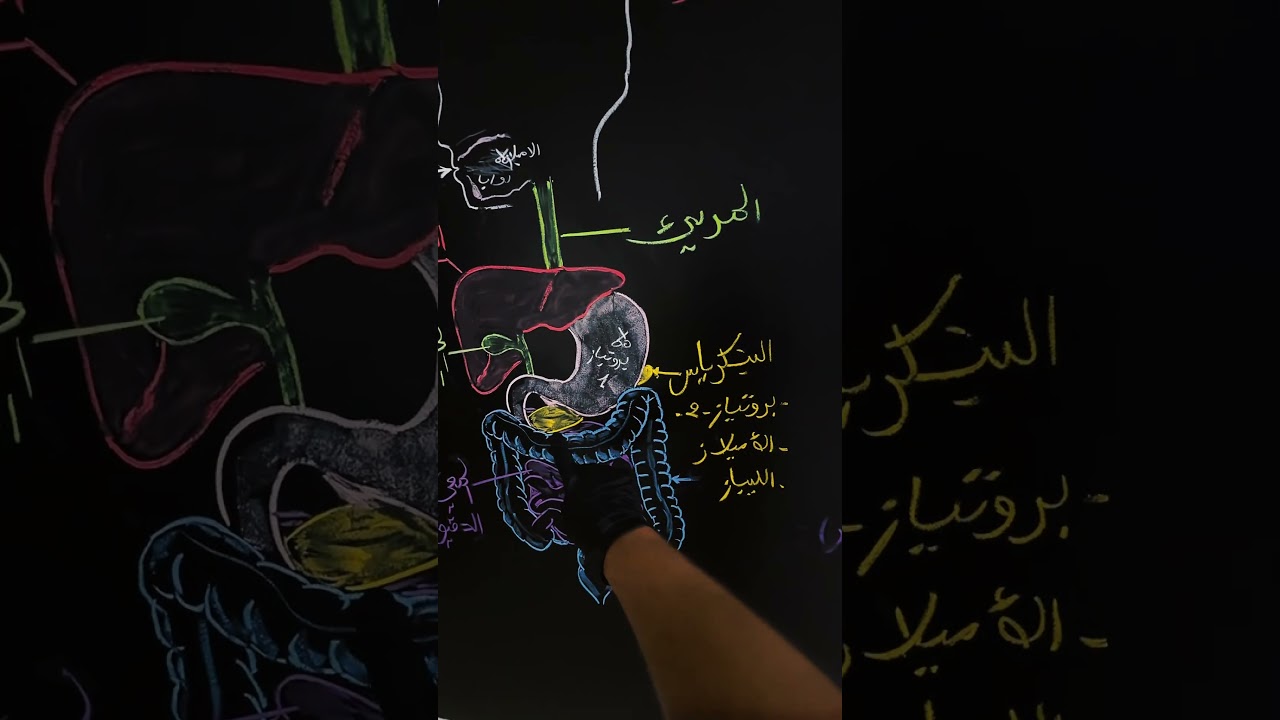 #شهادة_التعليم_المتوسط #الجزائر #bem2026