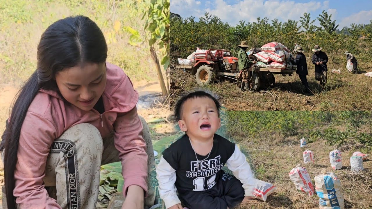 17 ມັງກອນ 2026