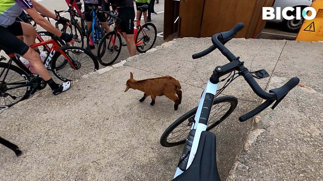 Cap Formentor, una Ruta Ciclista Inolvidable 🐐
