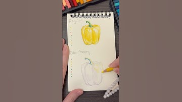 How to elevate art with color theory pepper | beginner tutorial #arttutorial #colortheory #coloring