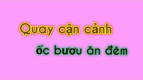 Quay cận cảnh ốc bươu ăn đêm Tuấn Hậu Giang