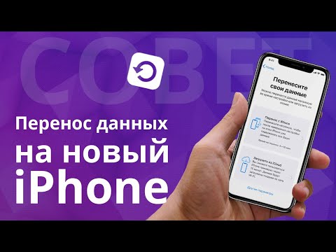 Как перенести данные с айфона на айфон? Резервная копия iPhone в iTunes и iCloud