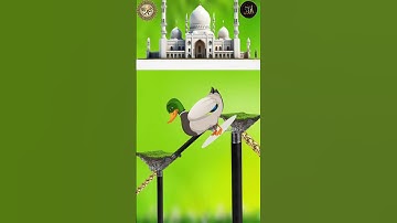 Ya Rab E Mustafa Tu Mujhy Hajj Pe Bula | beautiful naat #shorts​ #youtube​ #naats​ #fareedyaqoob