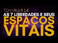 TGH Aula 14: As 7 liberdades e seus espaços vitais | Filosofia Brasil