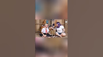 Hùng Trọc đổ lỗi Capybara phá son của mẹ #capybara