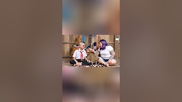 Hùng Trọc đổ lỗi Capybara phá son của mẹ #capybara