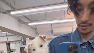 常田大希、人の犬を愛でる。