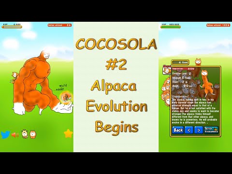 COCOSOLA #2 アルパカにいさん ビギンズ Alpaca Evolution Begins All Everything Showcase