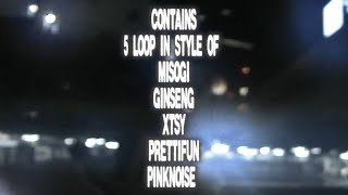 FREE (+5) Loop Kit MISOGI x GINSENG x PRETTIFUN x PINKNOISE x XTSY