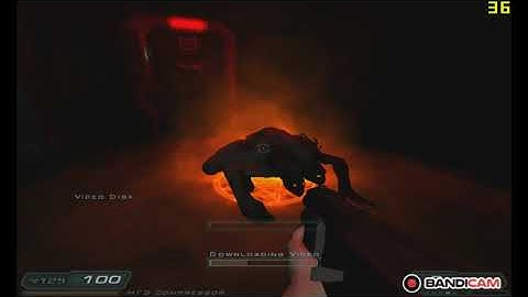 doom 3. HD graphics clarkdale 192MB Vram!!! Defok? 800x600 medium.
