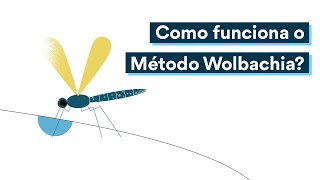 Entenda como funciona o Método Wolbachia