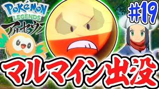 ヒスイ限定マルマイン!?洞窟キングの新タイプとは!?レジェンズ