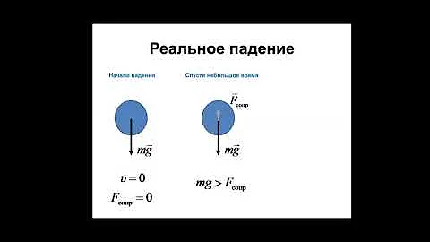 Основы биофизики. Предельная скорость падения