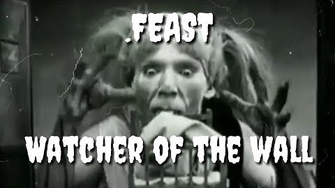 .Feast - Watcher of the wall ft. Oscar lolang (Video Lyrics Unofficial)