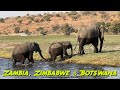 Zambia, Zimbabwe &amp; Botswana