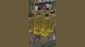 Máy ép dầu kinh doanh Lalifa25 công suất ép 15-20kg/1h