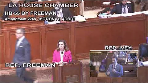 HB 55 by Rep  Aimee Freeman on DV Protective Order...