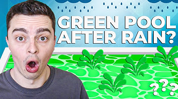 Green Pool After Heavy Rain - Why? How To Fix It?