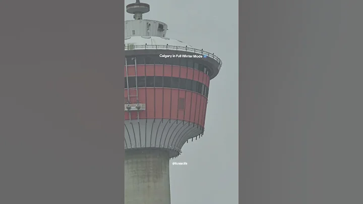 Calgary turned into a little winter movie today ❄️🤍 #trendingshorts #yycsnow #discoveringcanada