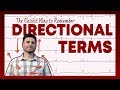 Navigating Anatomical Terms and Body Planes