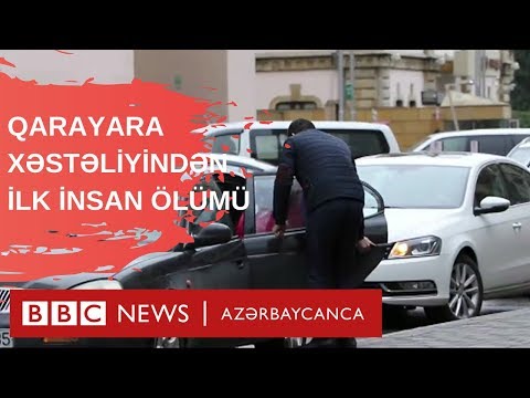 Azərbaycanda qarayara xəstəliyindən ilk dəfə insan ölüb