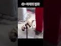 쉬~ 자세의 진화