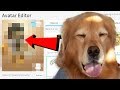 MAKING MY DOG A ROBLOX ACCOUNT!!