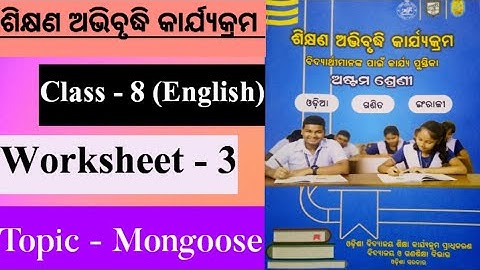 Class 8 English workbook // Worksheet -3 Mongoose // 8th class English workbook