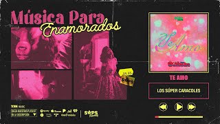 Mega Mix Música Para Enamorados // Día Del Amor y La Amistad // 14 de febrero