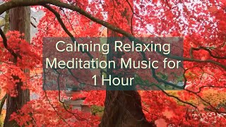 Calming Relaxing Meditation Music for 1 Hour