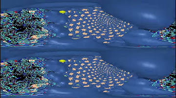 Inside of the HIV-1 capsid (VR)