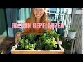 DIY Balkon Dekoideen ❘ Kräuterbeet basteln ❘ Lilies Diary ❘