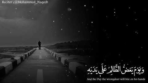 سورة الفرقان 27-29 (وَيَوْمَ يَعَضُّ الظَّالِمُ عَلَى يَدَيْهِ يَقُولُ يَا لَيْتَنِي...).