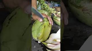 Amazing coconut cutting skills || fruit cutting || coconut peeling style #coconut #cuttingskills