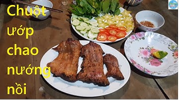 308 | Thăm bẩy chuột cống nhum và lưới rắn | mouse