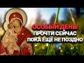 СЕГОДНЯ ОСОБАЯ НОЧЬ. ПЕРЕД ЗАВТРАШНИМ ДНЕМ ОБЯЗАТЕЛЬНО ПРОЧТИ