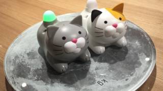 【可愛いねこの温湿計！】今日のにゃんこ計7月20日